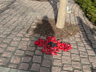 https://0901.nccdn.net/4_2/000/000/071/260/img_5449.jpeg