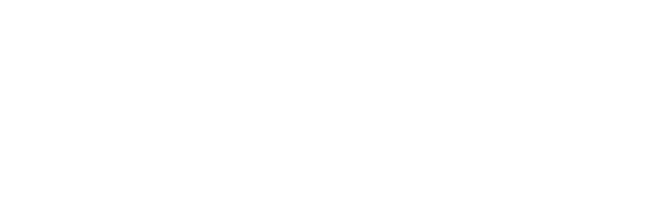 BREUVAGES CRISTO INC