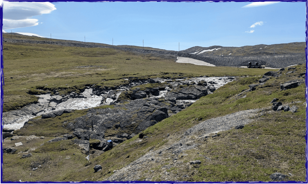 Une vaste étendue de terrain parsemée de rochers et d'arbres