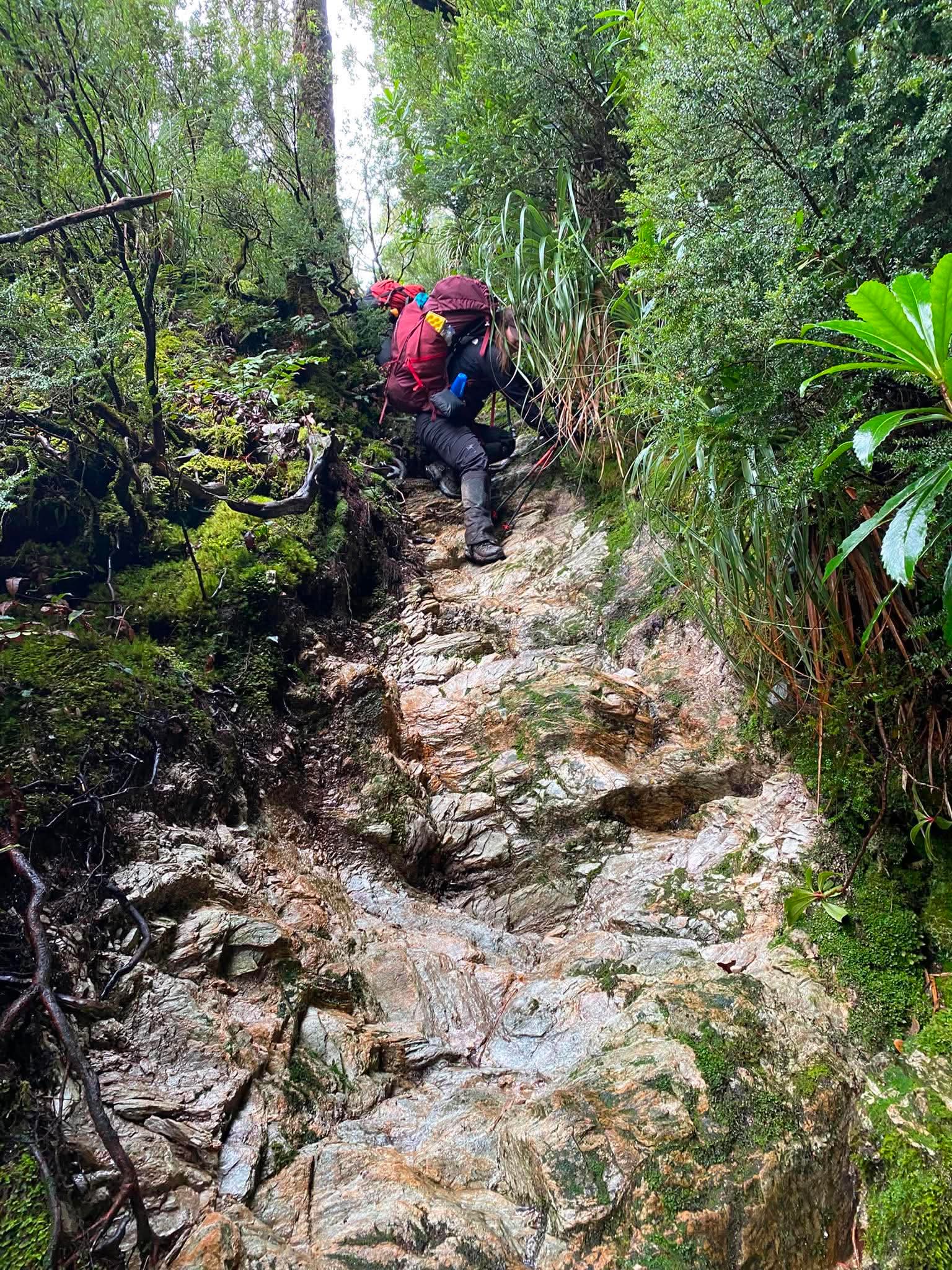 Just Trekking
Frenchmans Cap