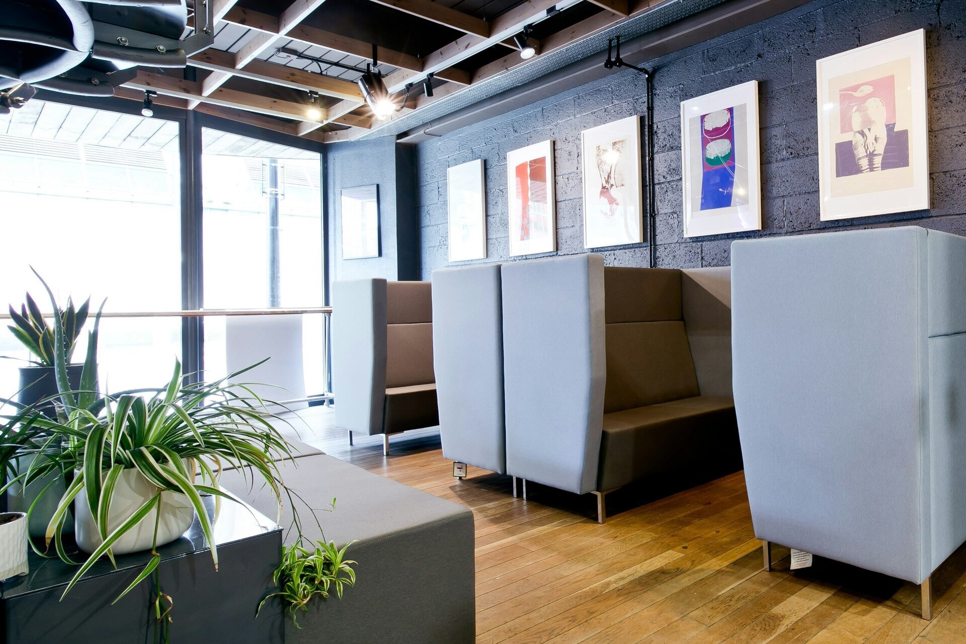 Modern office lounge with gray booths, wooden flooring, potted plants, and framed art on dark walls.