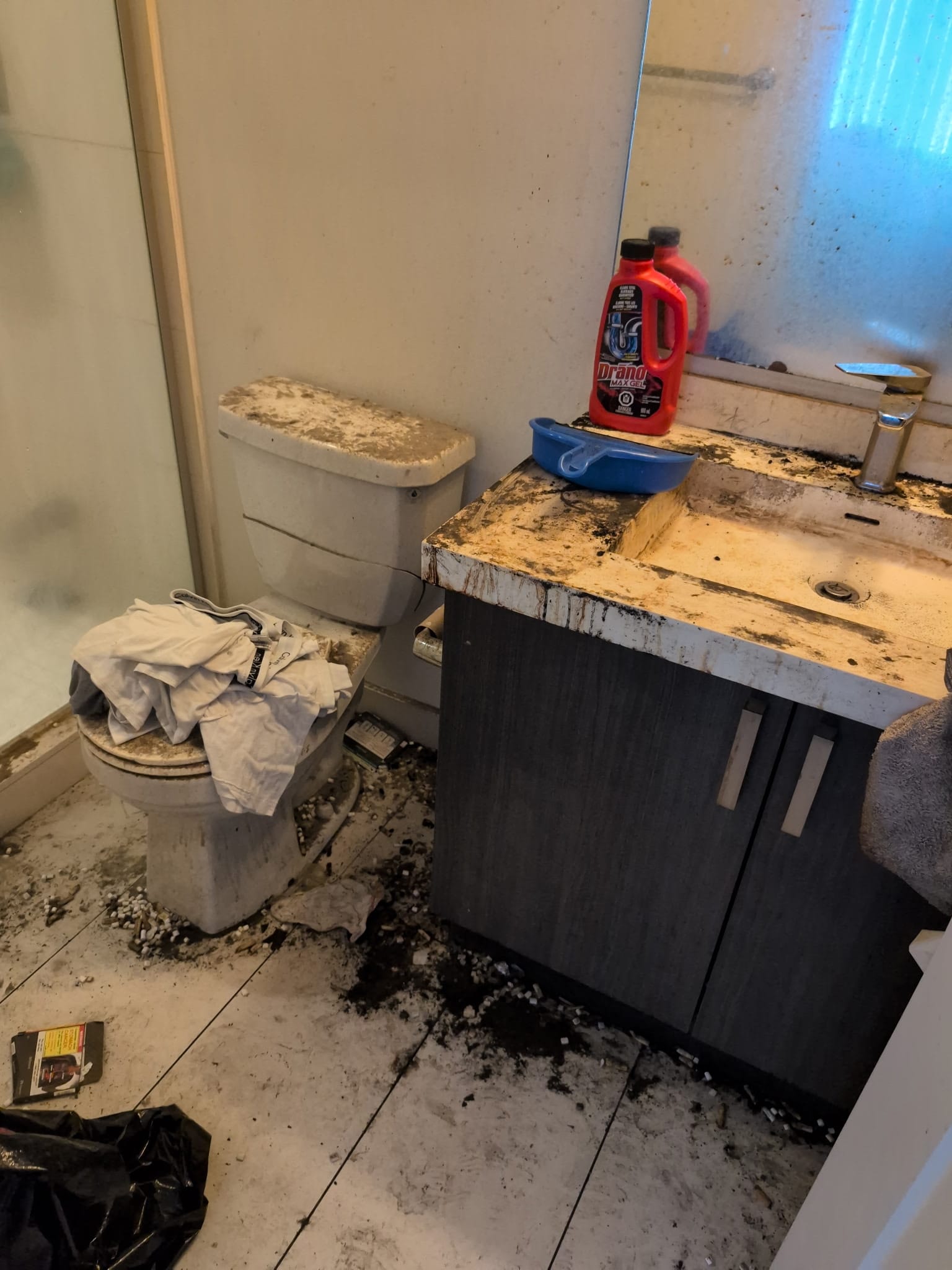 Bathroom in neglected property condition with severe buildup, environmental contamination, and disrupted functionality requiring structured restoration
