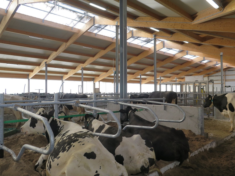 2017 Belmont - Dairy barn