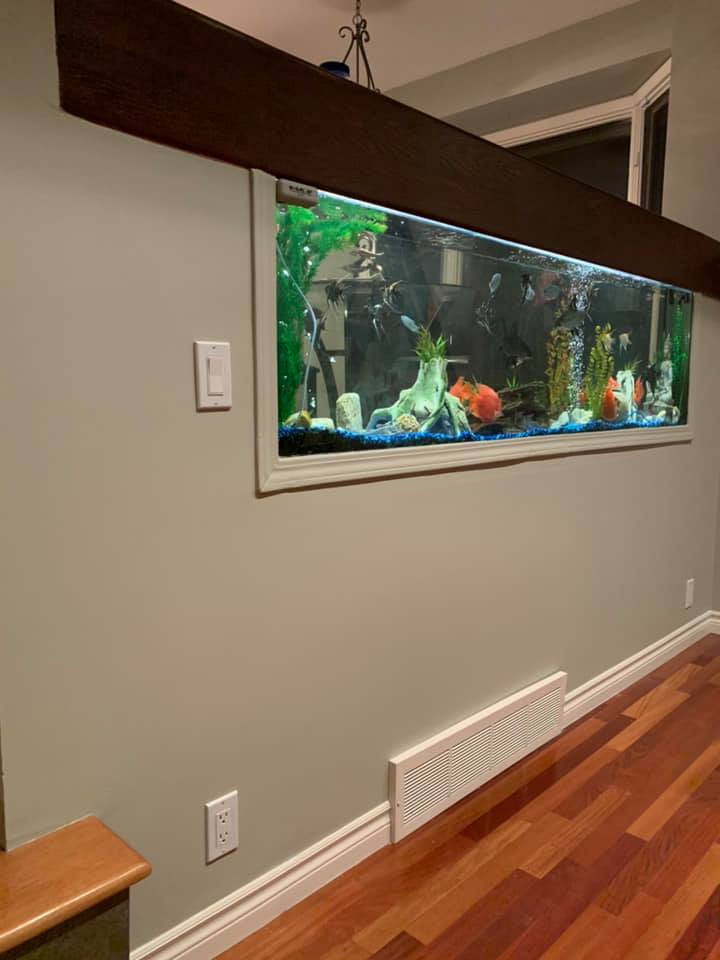 https://0901.nccdn.net/4_2/000/000/076/de9/Calgary-Painter-Tank-After-720x960.jpg
