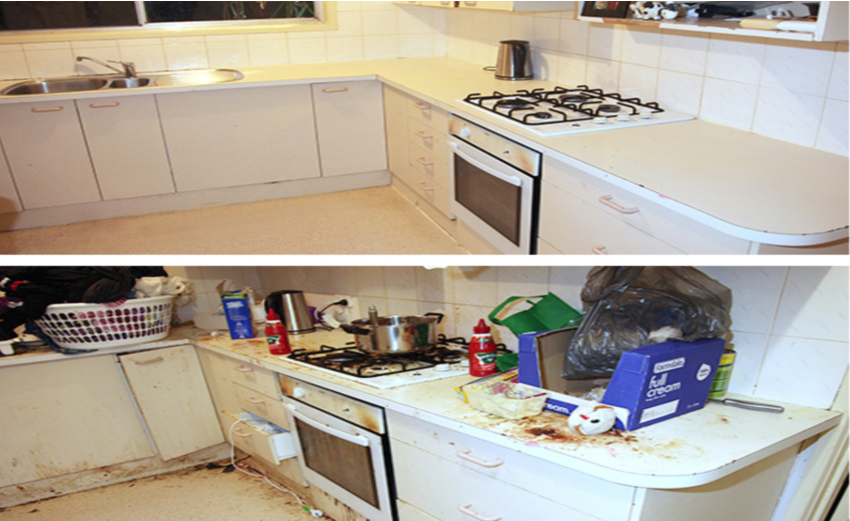 Move In Cleaning Services Move In Cleaning Services