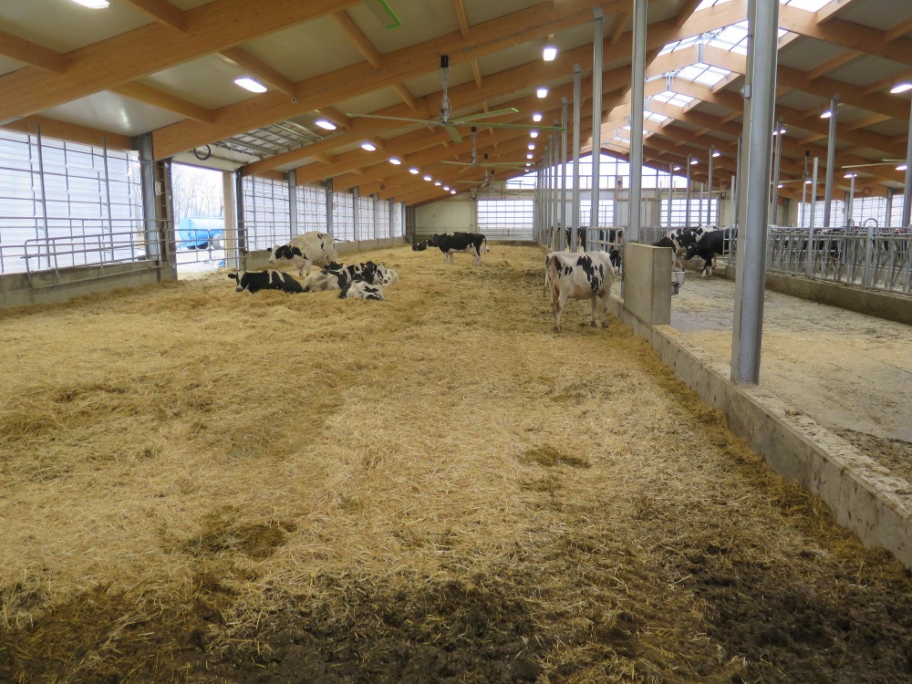 2017 - Manitoba - Dairy barn