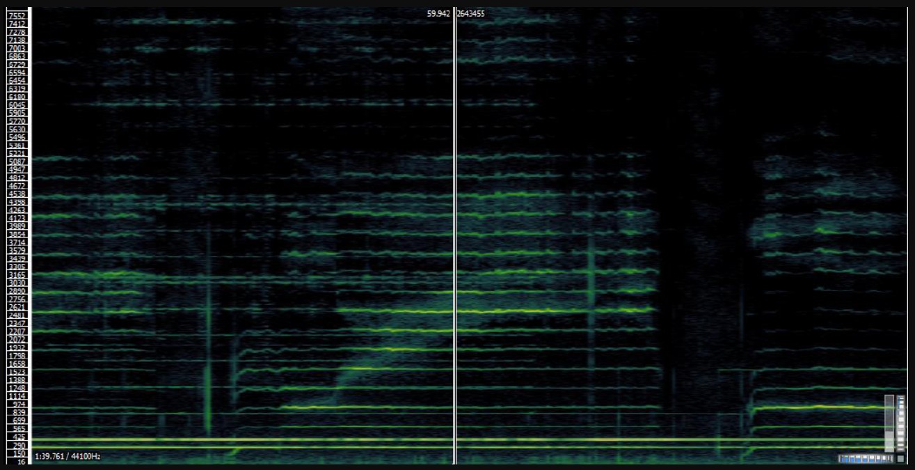 https://0901.nccdn.net/4_2/000/000/076/de9/bols-et-voix-sonic-visualizer.jpg