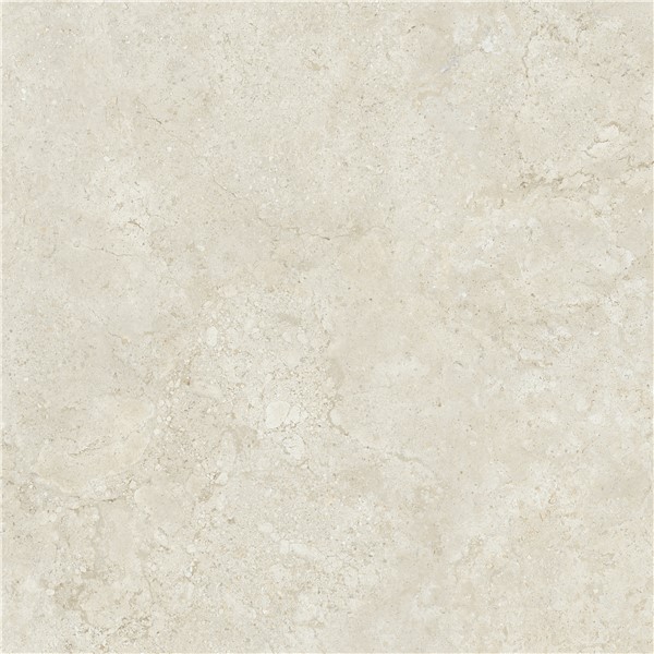 Campaspero Bone 24" x 24"