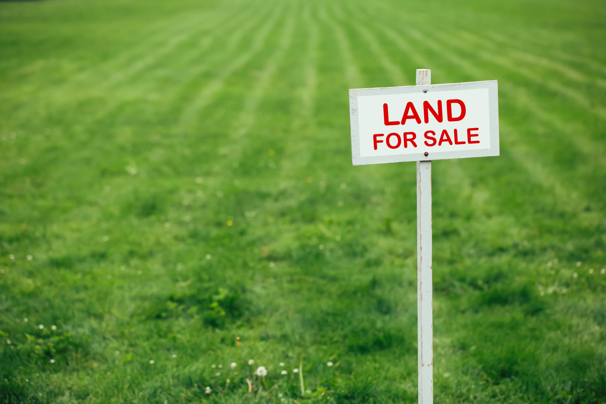 Real Estate 101: 7 Fantastic Tips for Buying and Selling Land | Sky ...