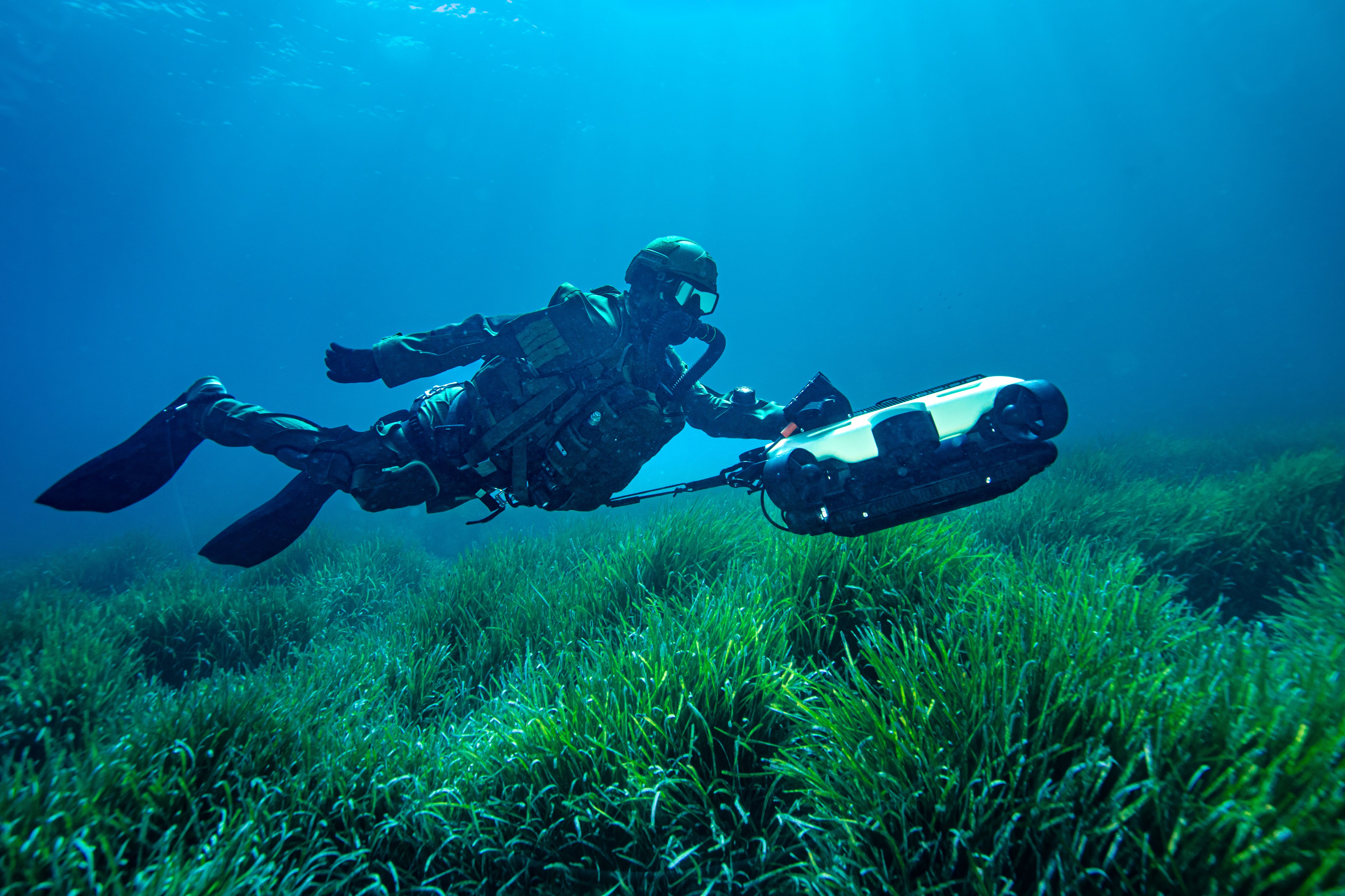 photography of aquarium with corals