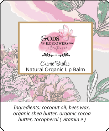https://0901.nccdn.net/4_2/000/000/076/de9/organic-lip-balm-creme-brulee.png