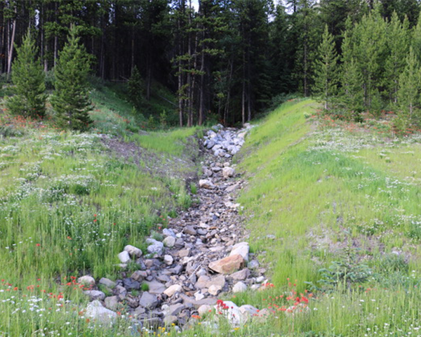 A path covered in rocks