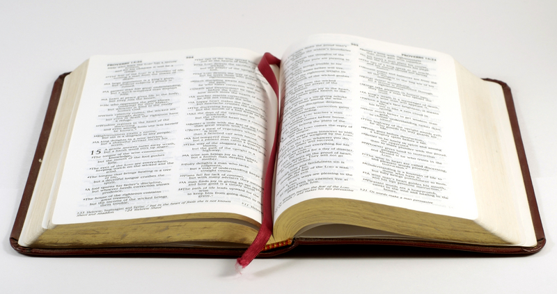 the anglican parish of french village daily bible readings
