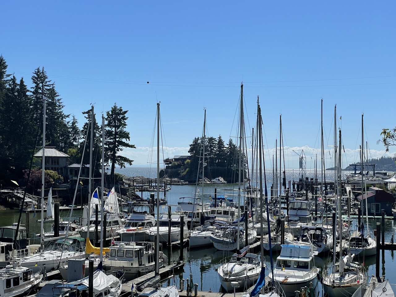 Scenic marina with numerous sailboats docked, surrounded by lush trees and clear blue sky