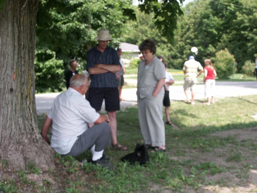https://0901.nccdn.net/4_2/000/000/078/264/pict0113.jpg