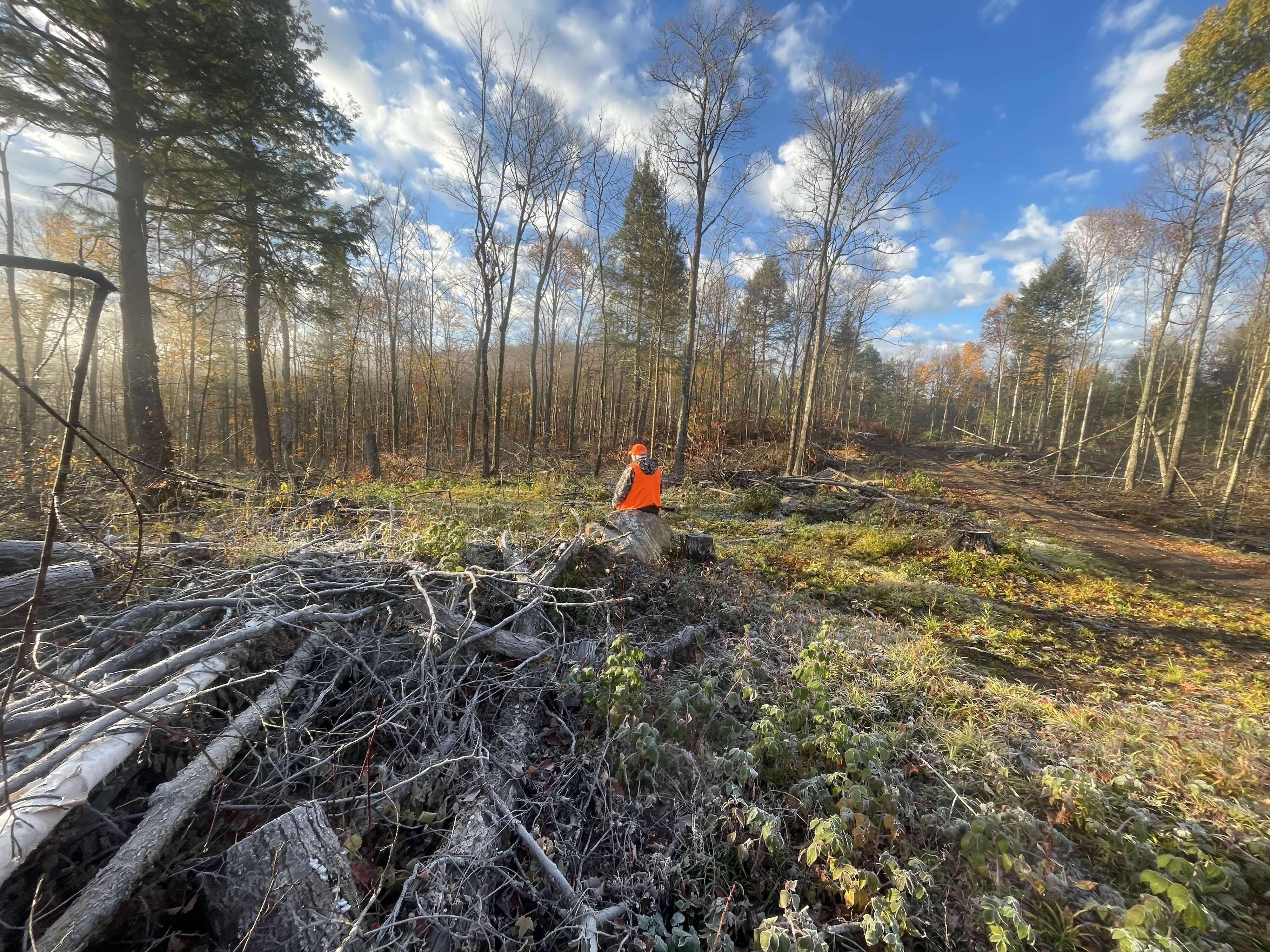 https://0901.nccdn.net/4_2/000/000/079/c81/2025-guided-moose-hunting-ontario-chris-copy.jpg
