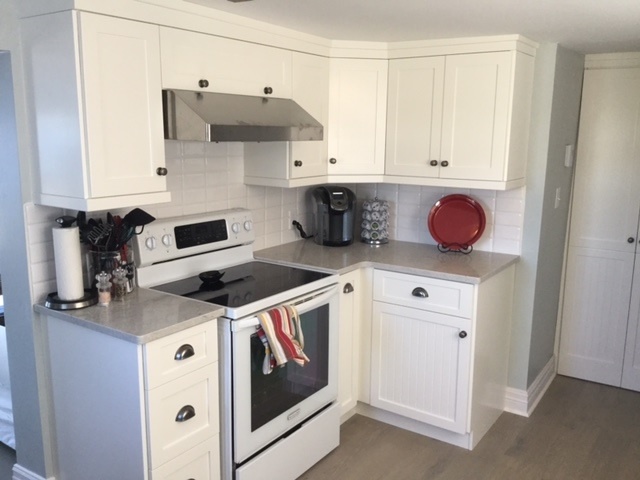 Elite Kitchens Design Inc Testimonials