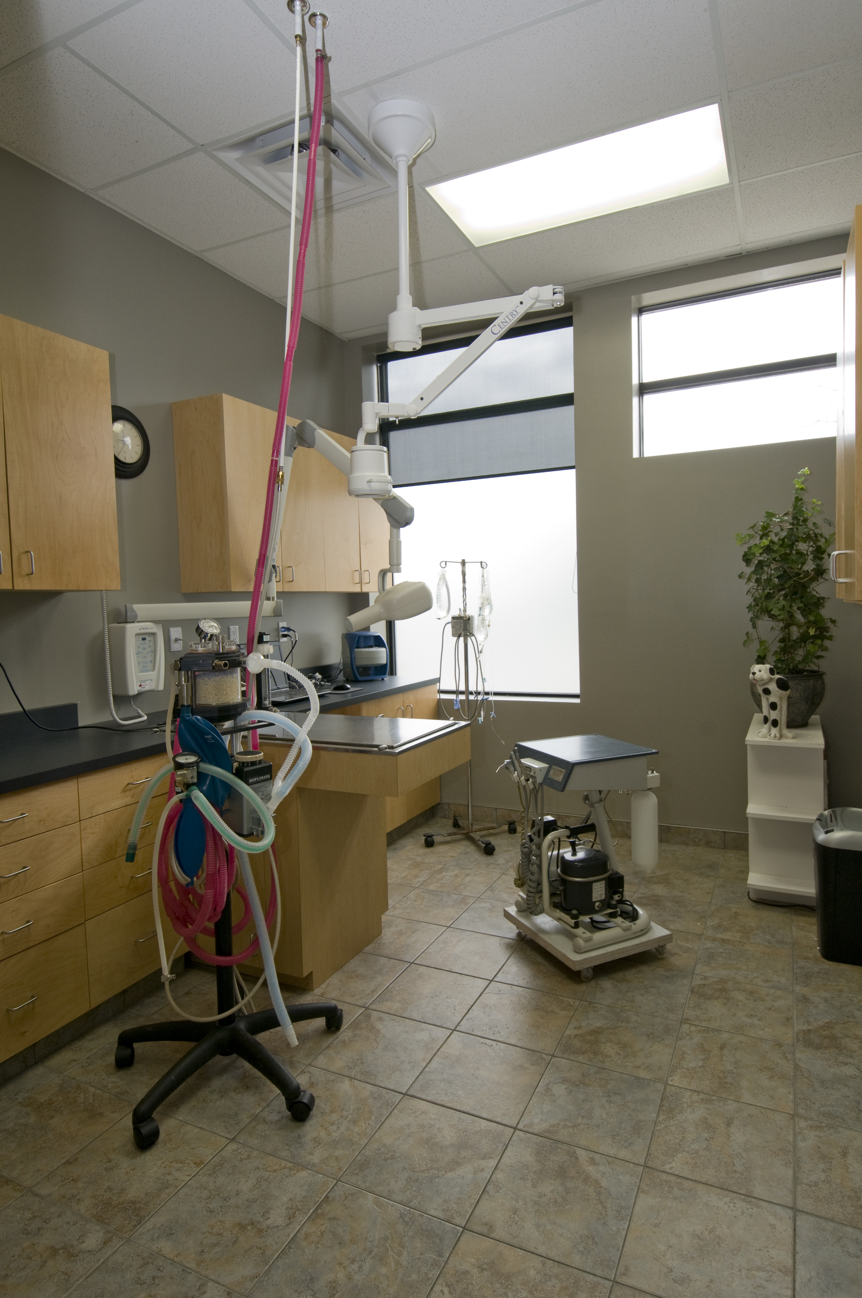 North Oakville Animal 
Hospital Dental Suite