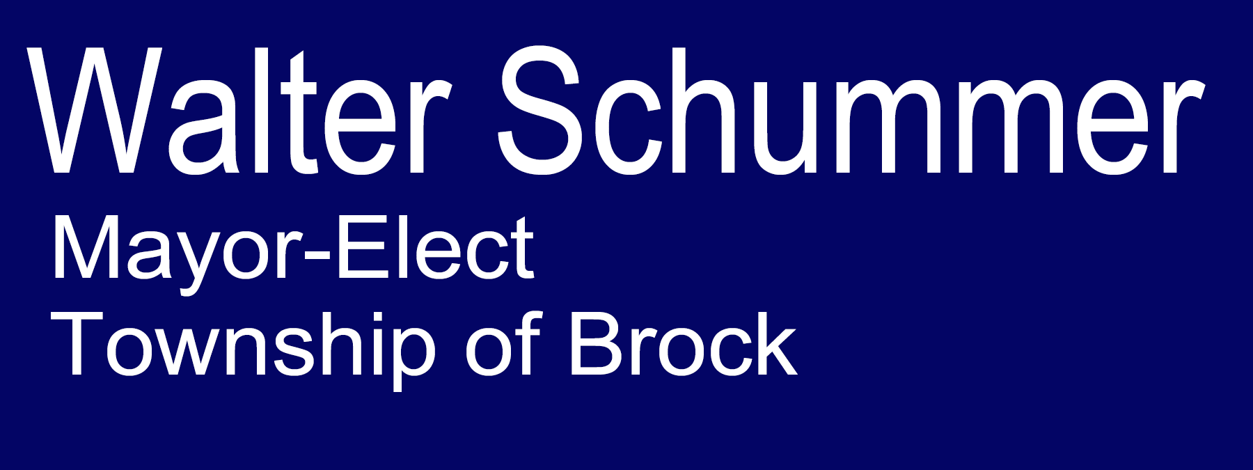 Walter Schummer For Mayor