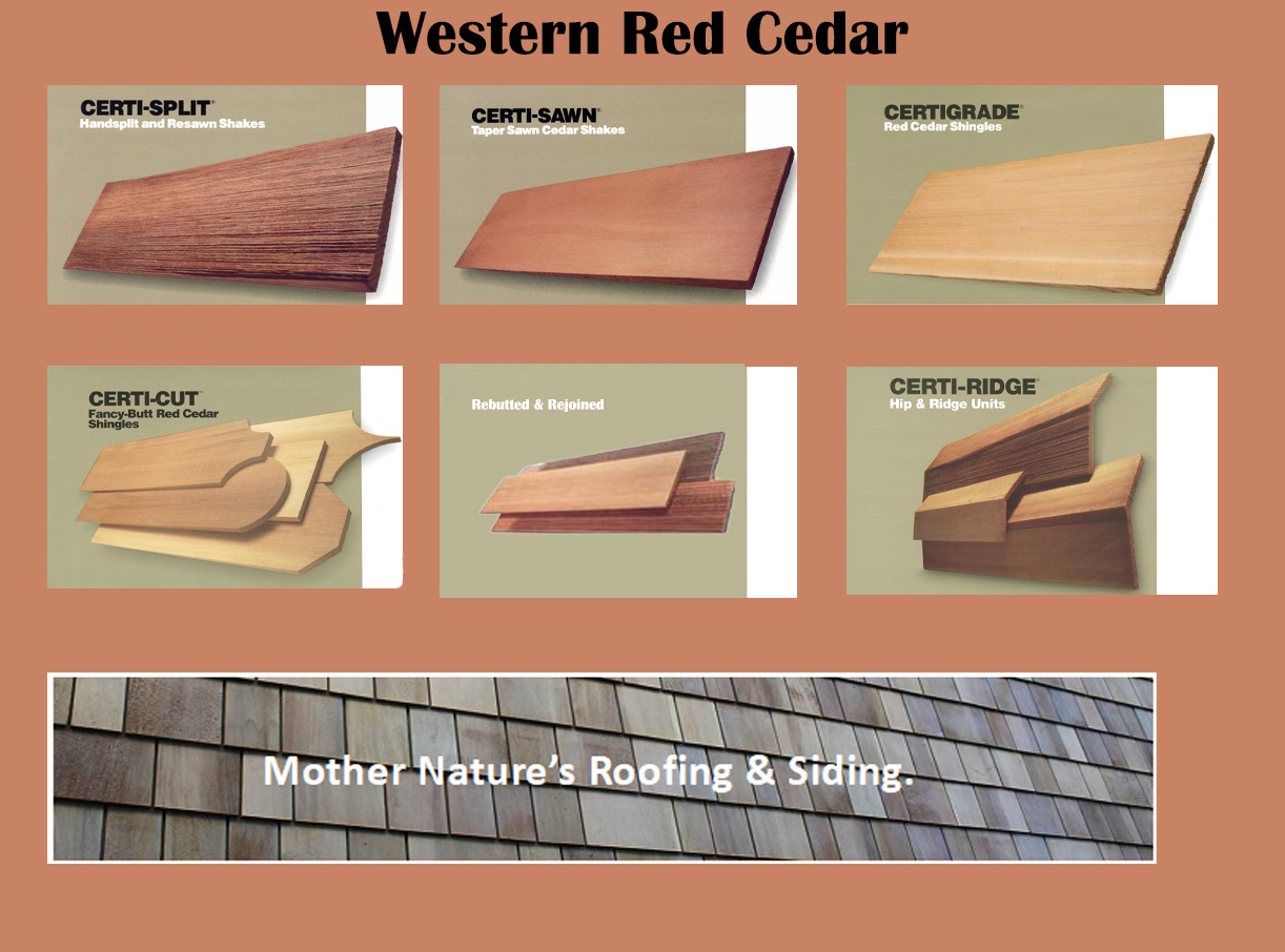 https://0901.nccdn.net/4_2/000/000/079/c81/western-red-cedar-pictures-for-home-page-caresel-2.jpg