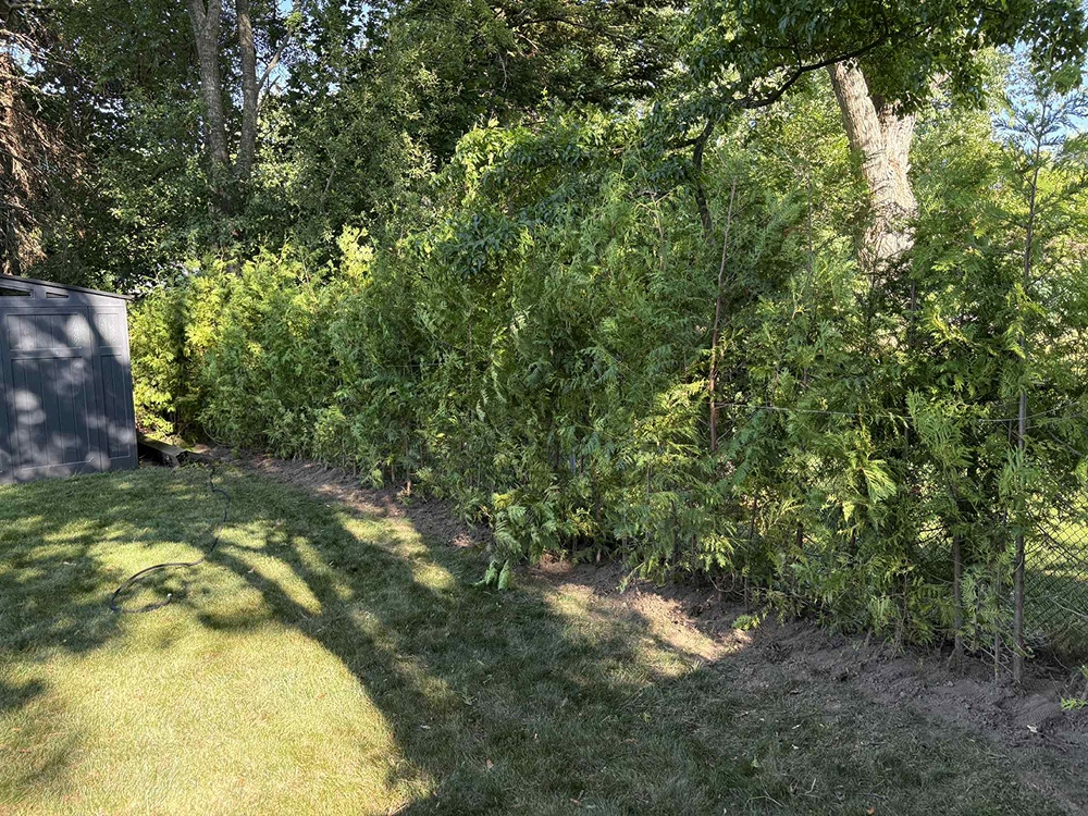 https://0901.nccdn.net/4_2/000/000/07a/dbb/3.jpg
