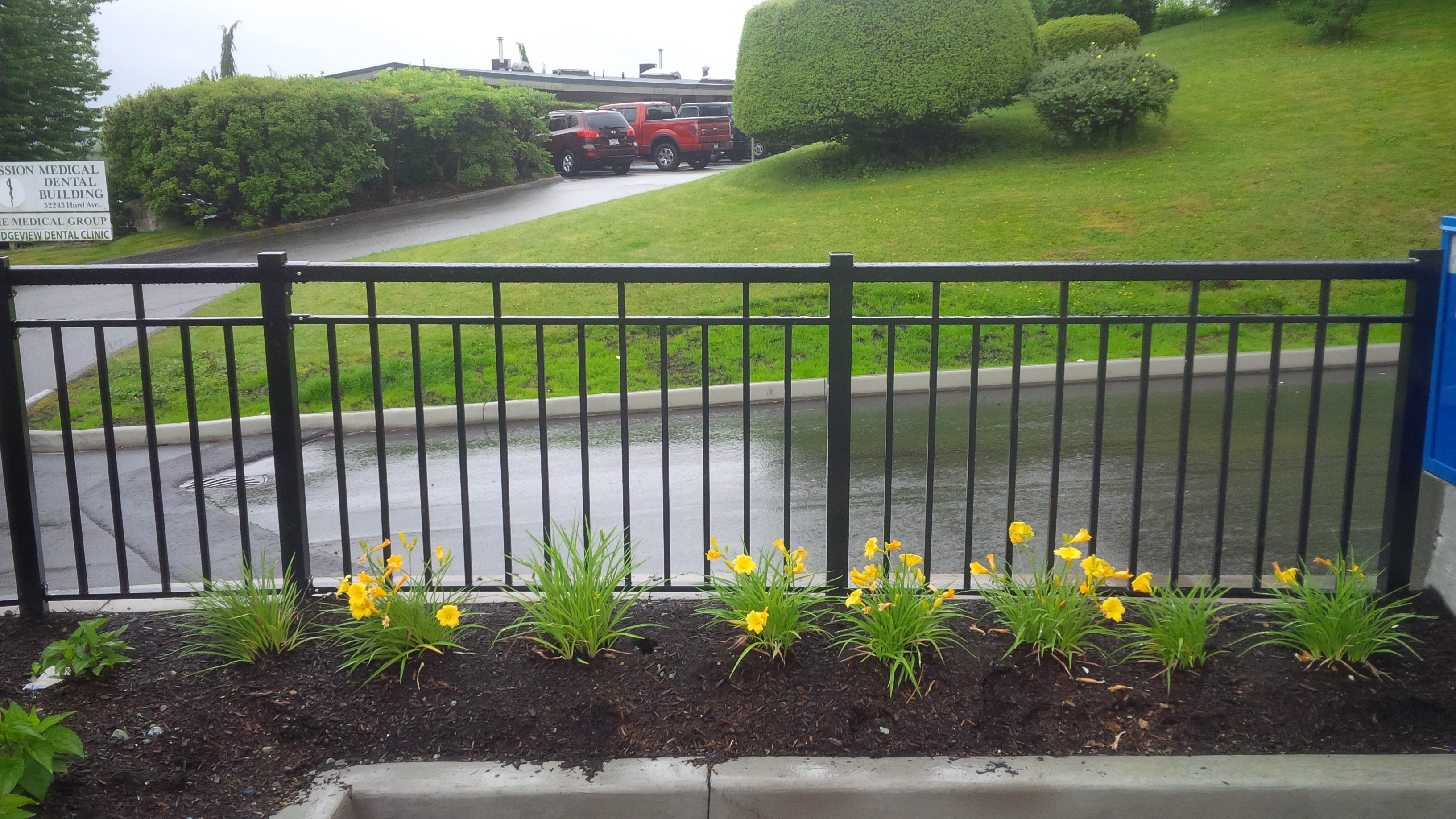 Picket Guardrails