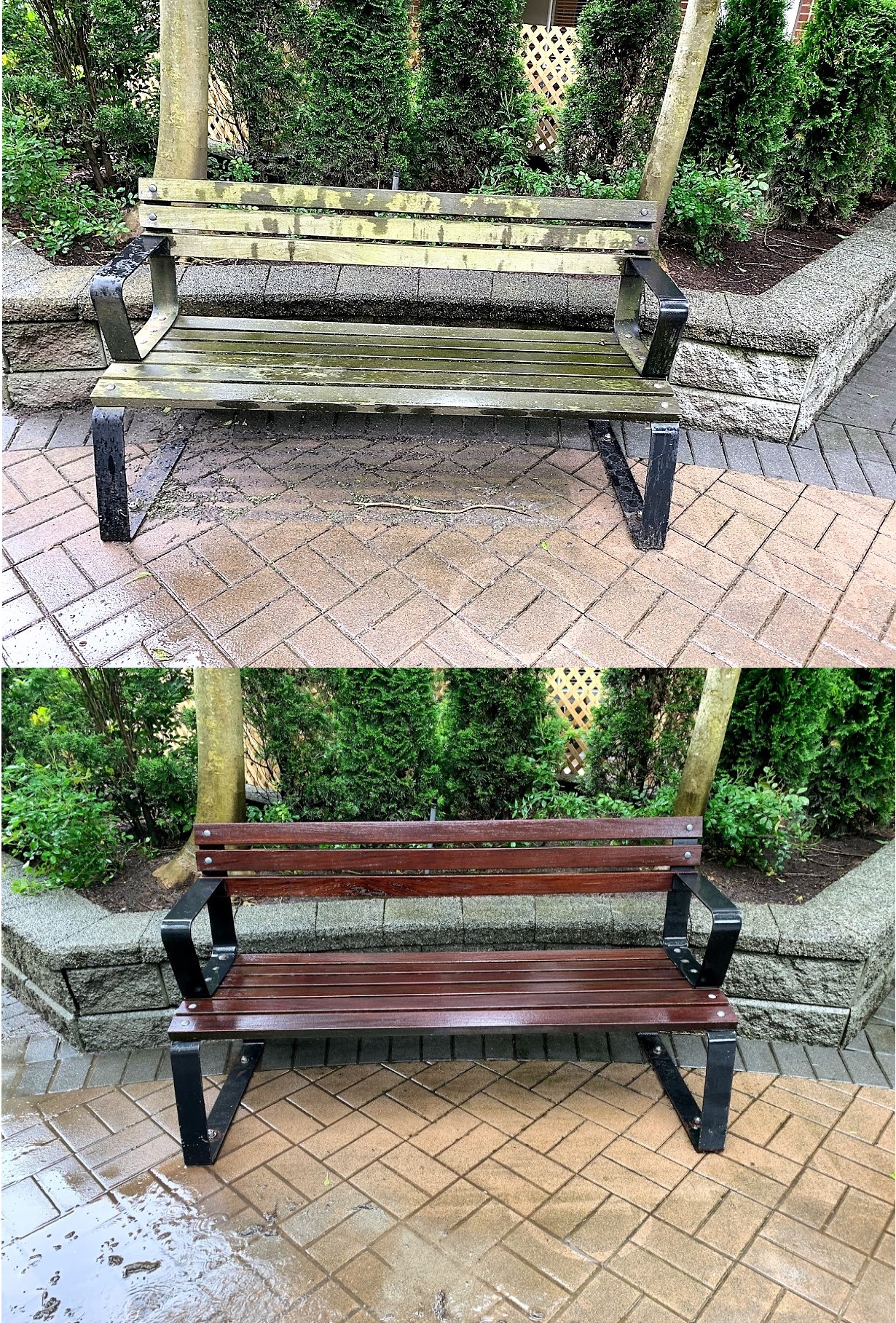 https://0901.nccdn.net/4_2/000/000/07a/dbb/bench.before.after.2020.jpg
