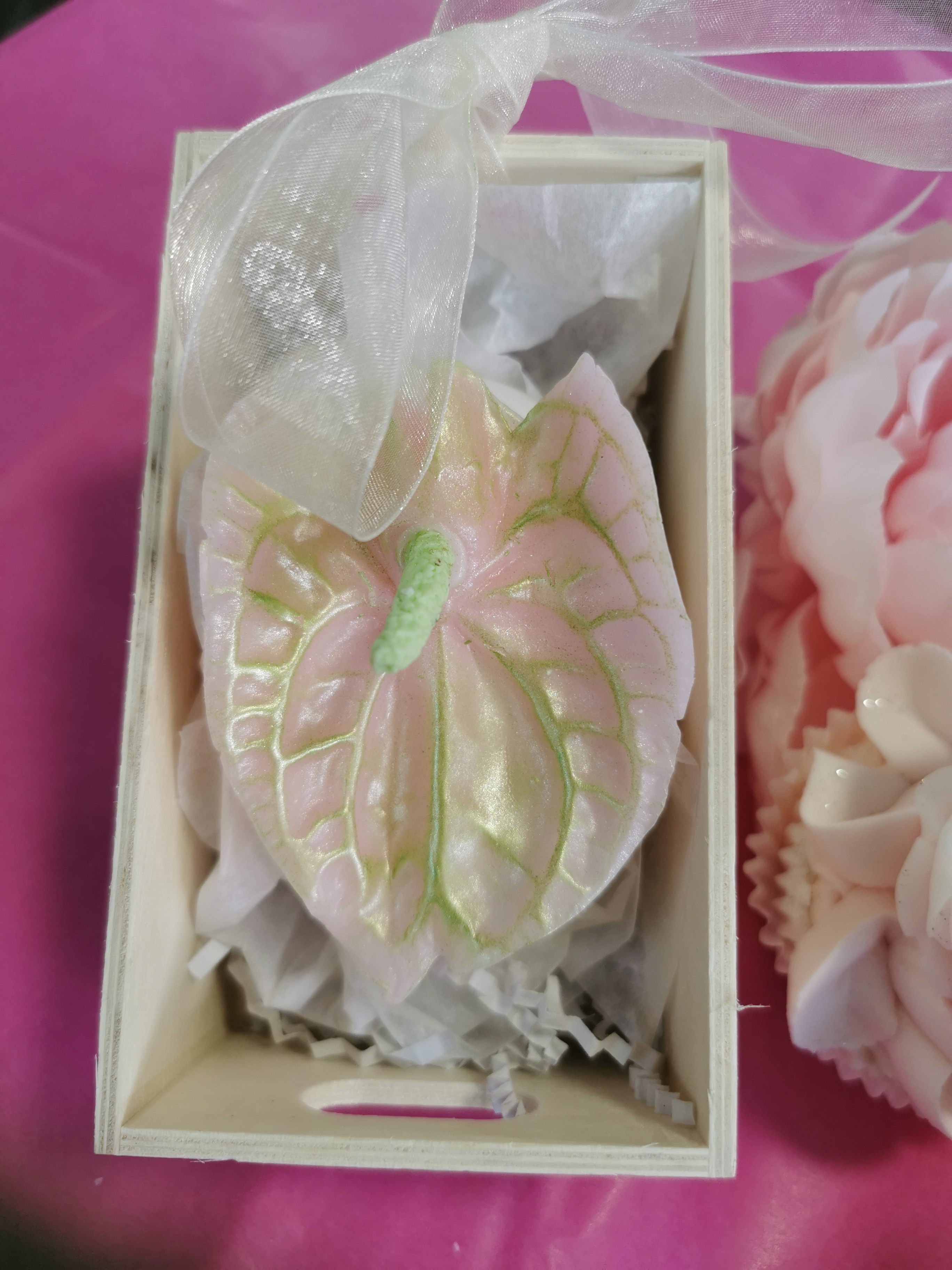Anthurium blossom Soap
$28.00 Anthurium blossom Soap
$28.00