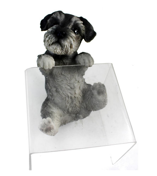 508 YLG232D
Terrier Fence Climber
Reg. Price $33.99
Blowout Price $23.99