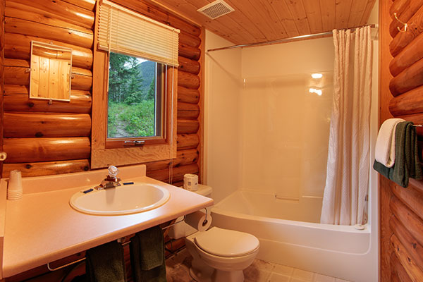 Cabin Bathroom