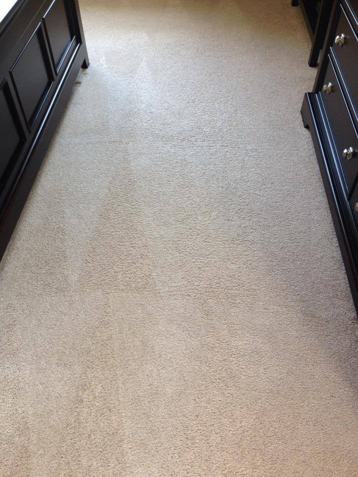 Light Carpet Showing Before and After Deep Cleaning Results