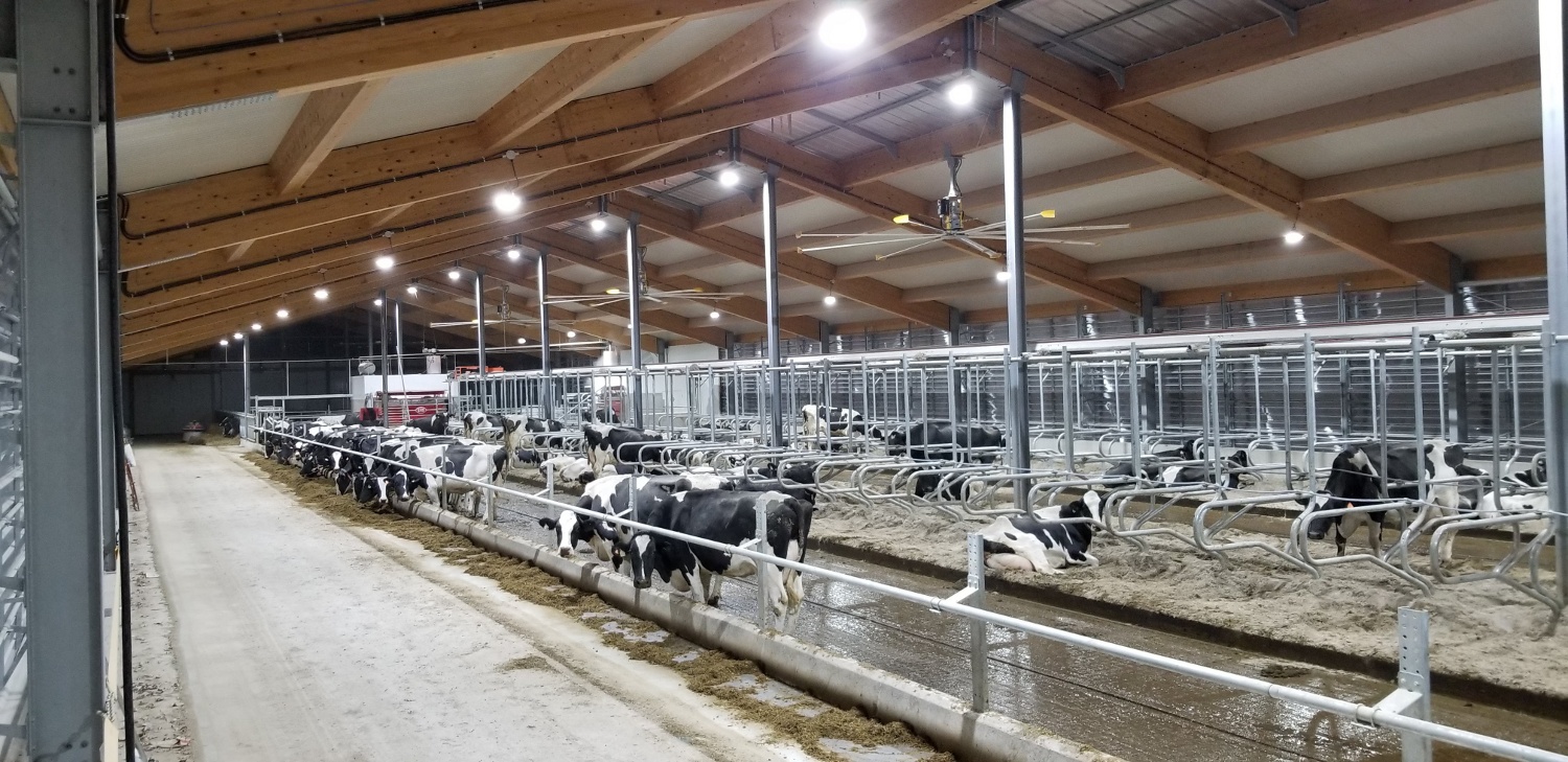 2018 Napanee - Robot dairy barn