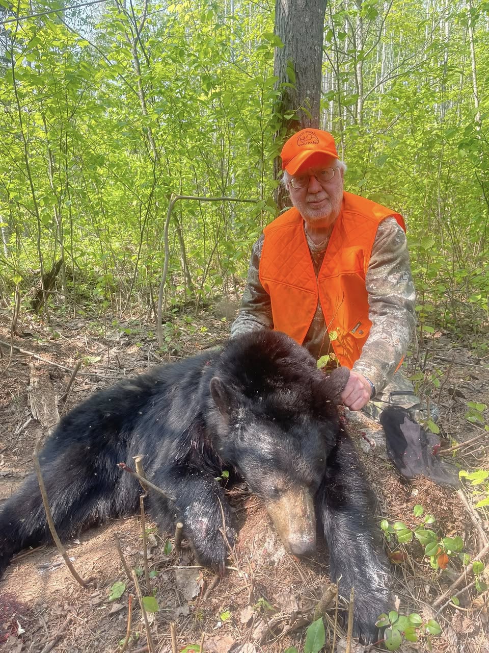 Successful guided black bear hunt in Ontario at Wild North Outfitters.