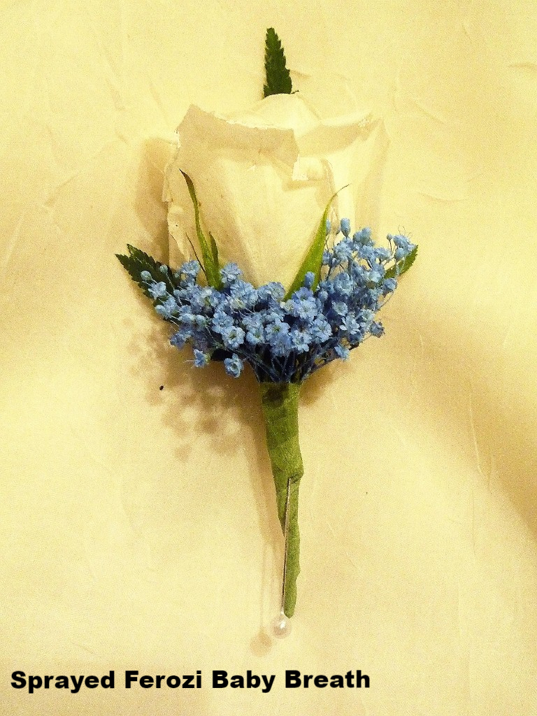 Sprayed Ferozi Baby Breath  $8.75