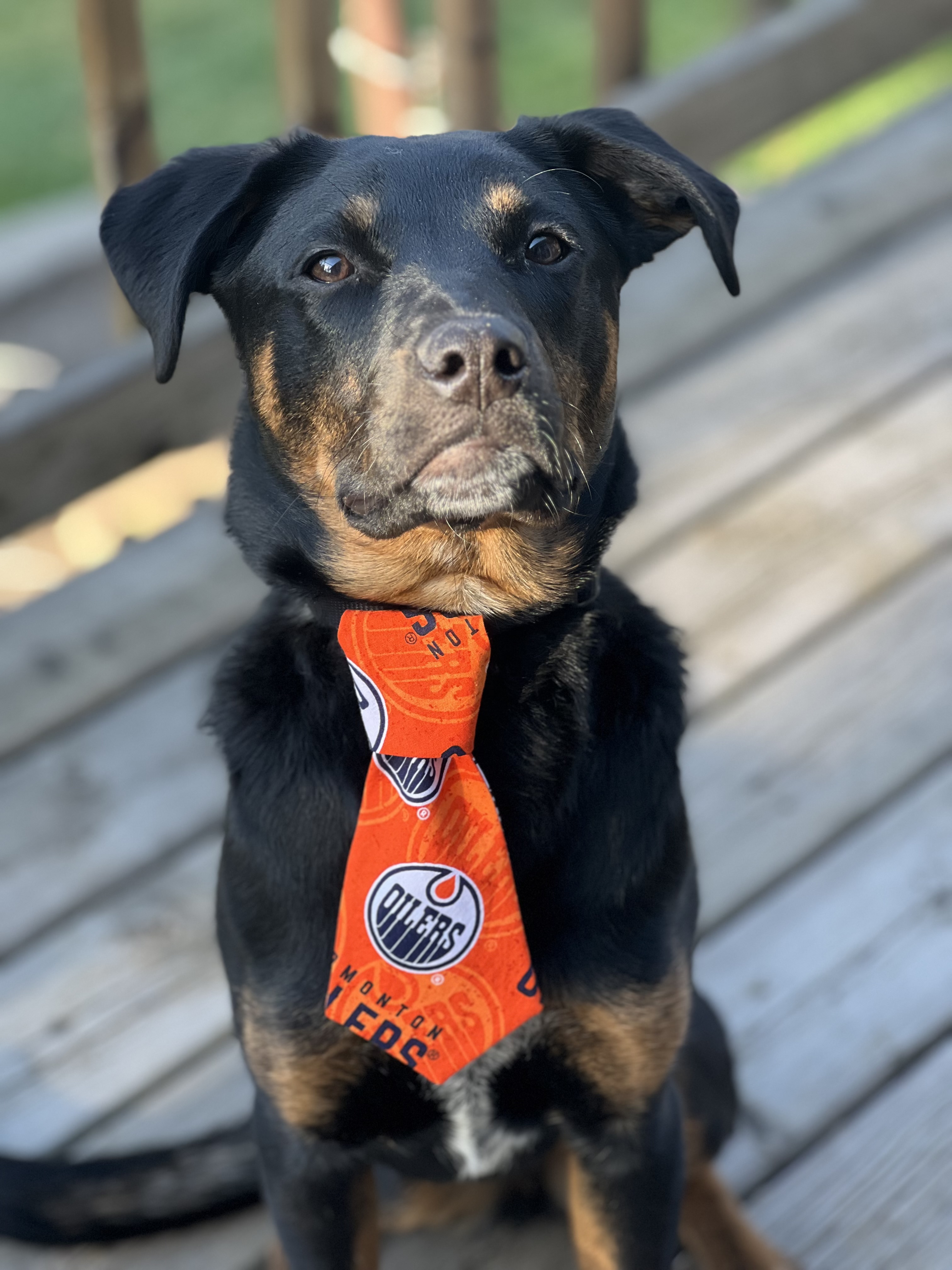 OILERS NECKTIE