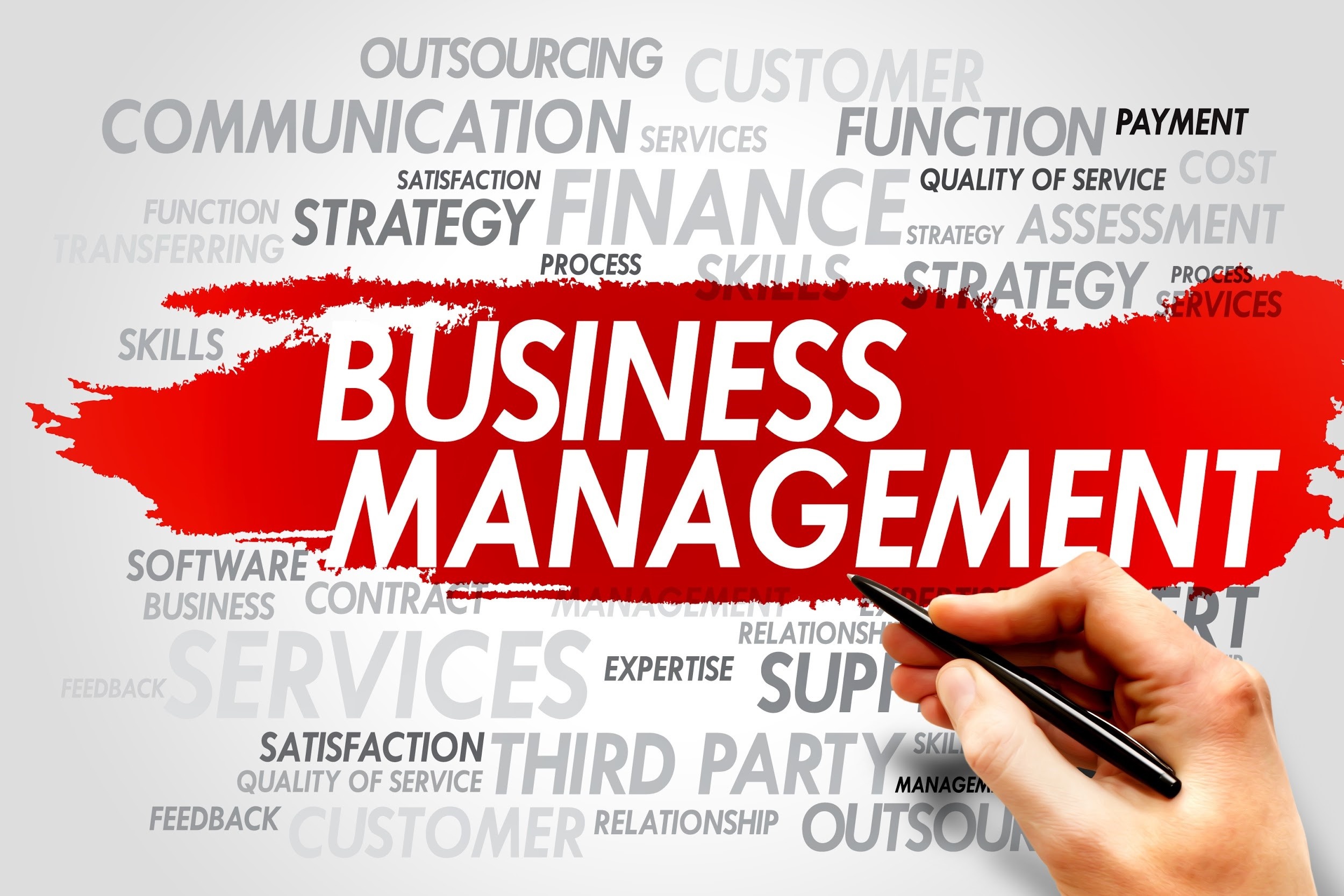 business planning and management services