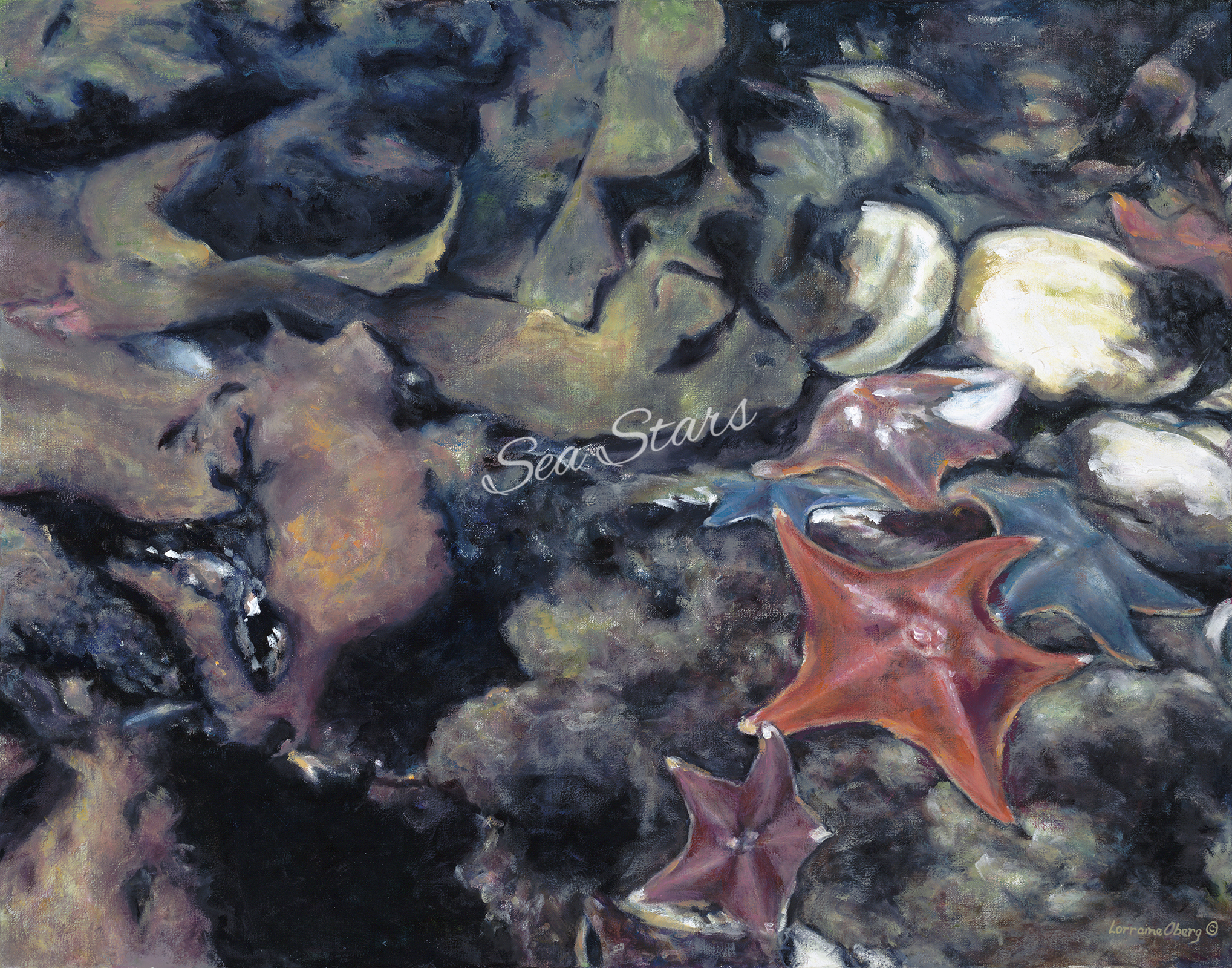 "Sea Stars"