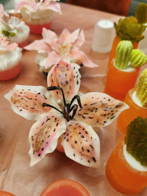 Stargazer Lily;  Bath bomb
 $ 35.00