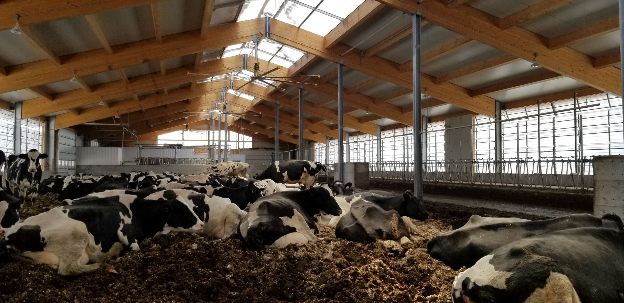 2019 Clarenceville, Quebec - Dairy barn