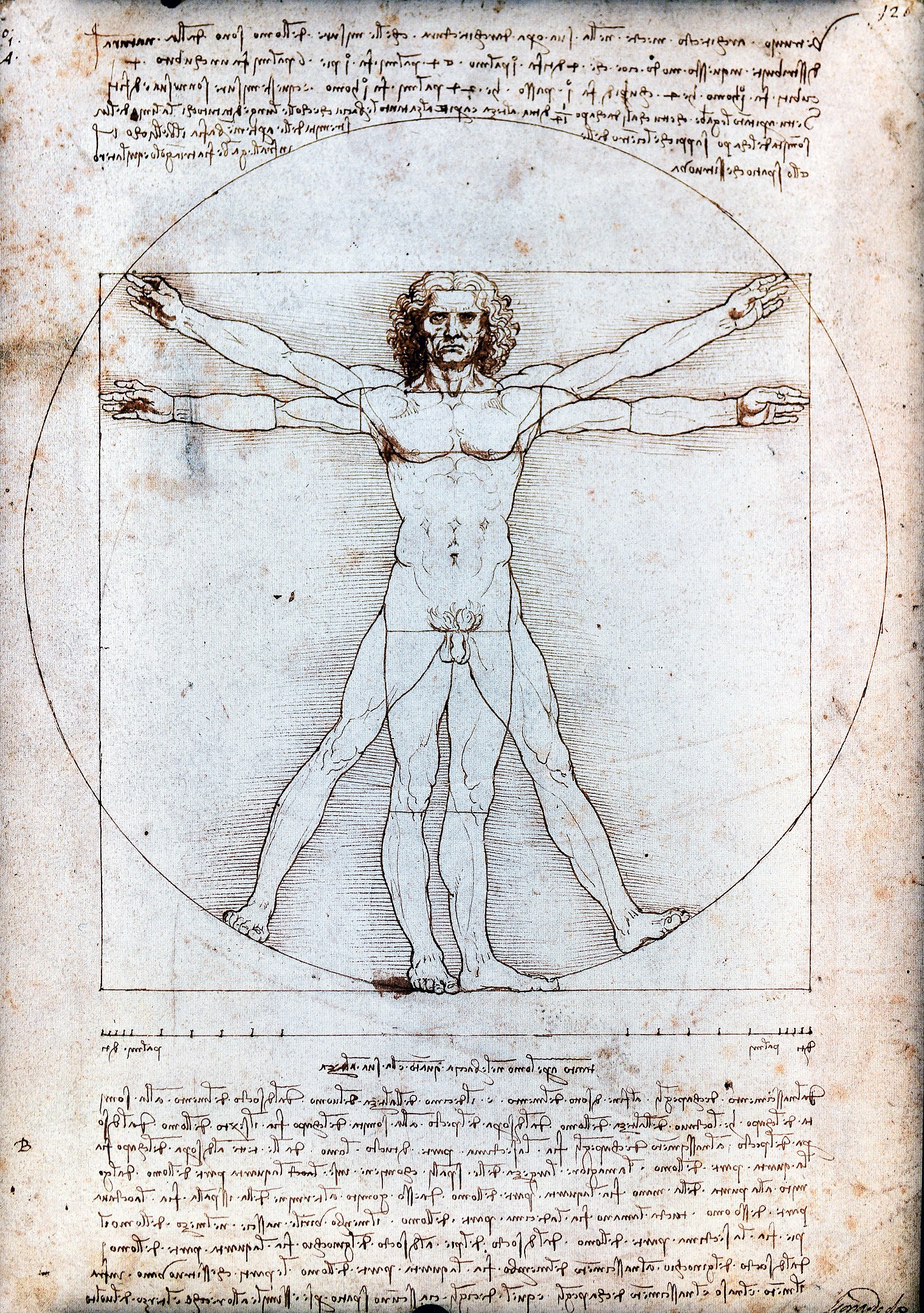 https://0901.nccdn.net/4_2/000/000/07f/5ee/1520px-Vitruvian_Man_by_Leonardo_da_Vinci.jpg