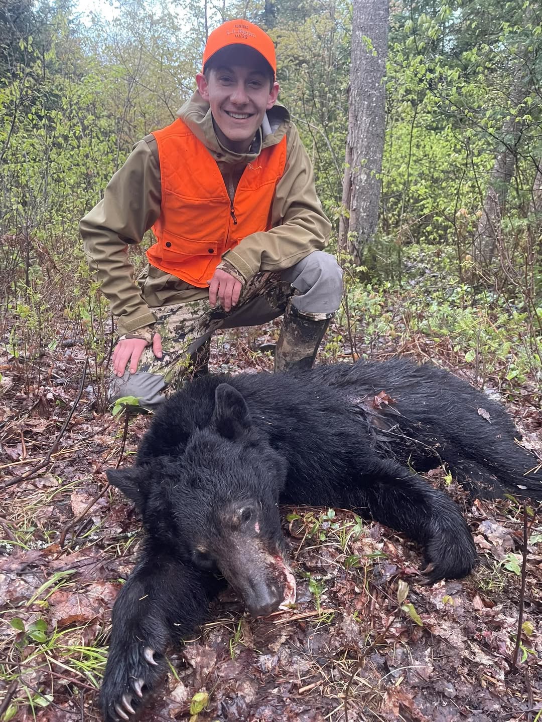 Guided spring black bear hunt in Ontario with Wild North Outfitters.
