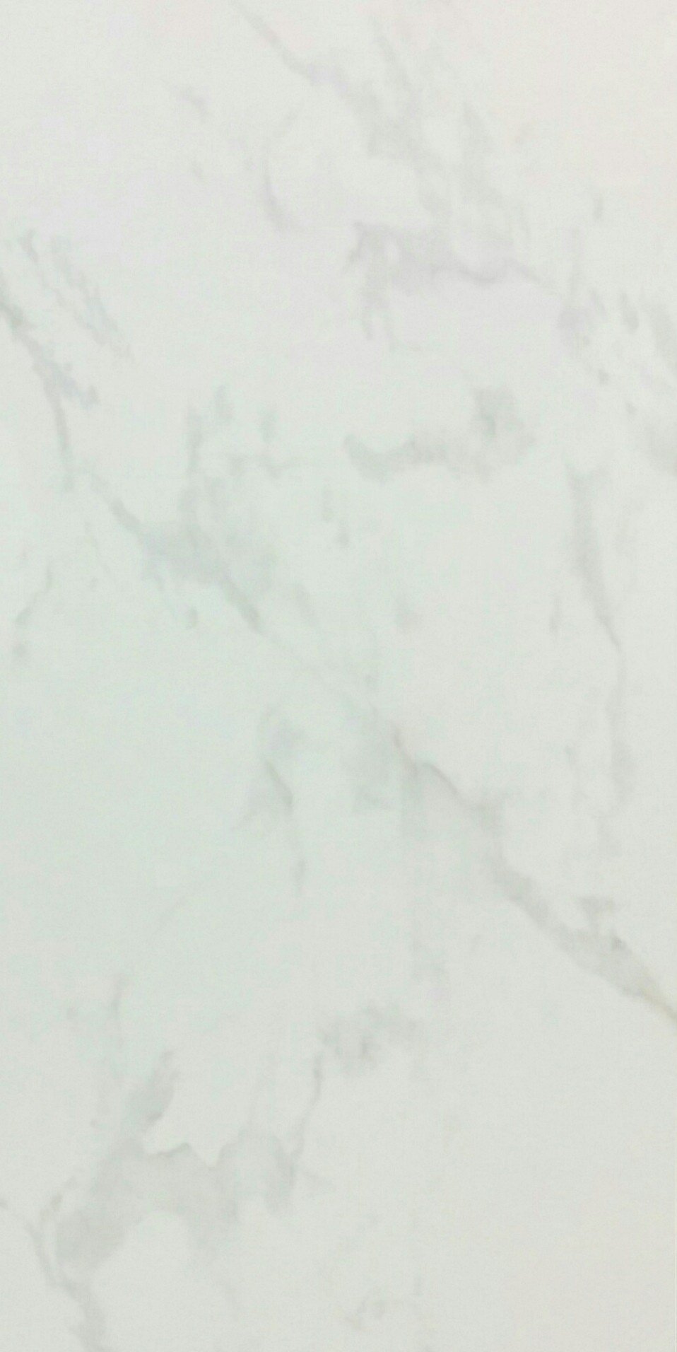 Bianco Carrara 12" x 24"