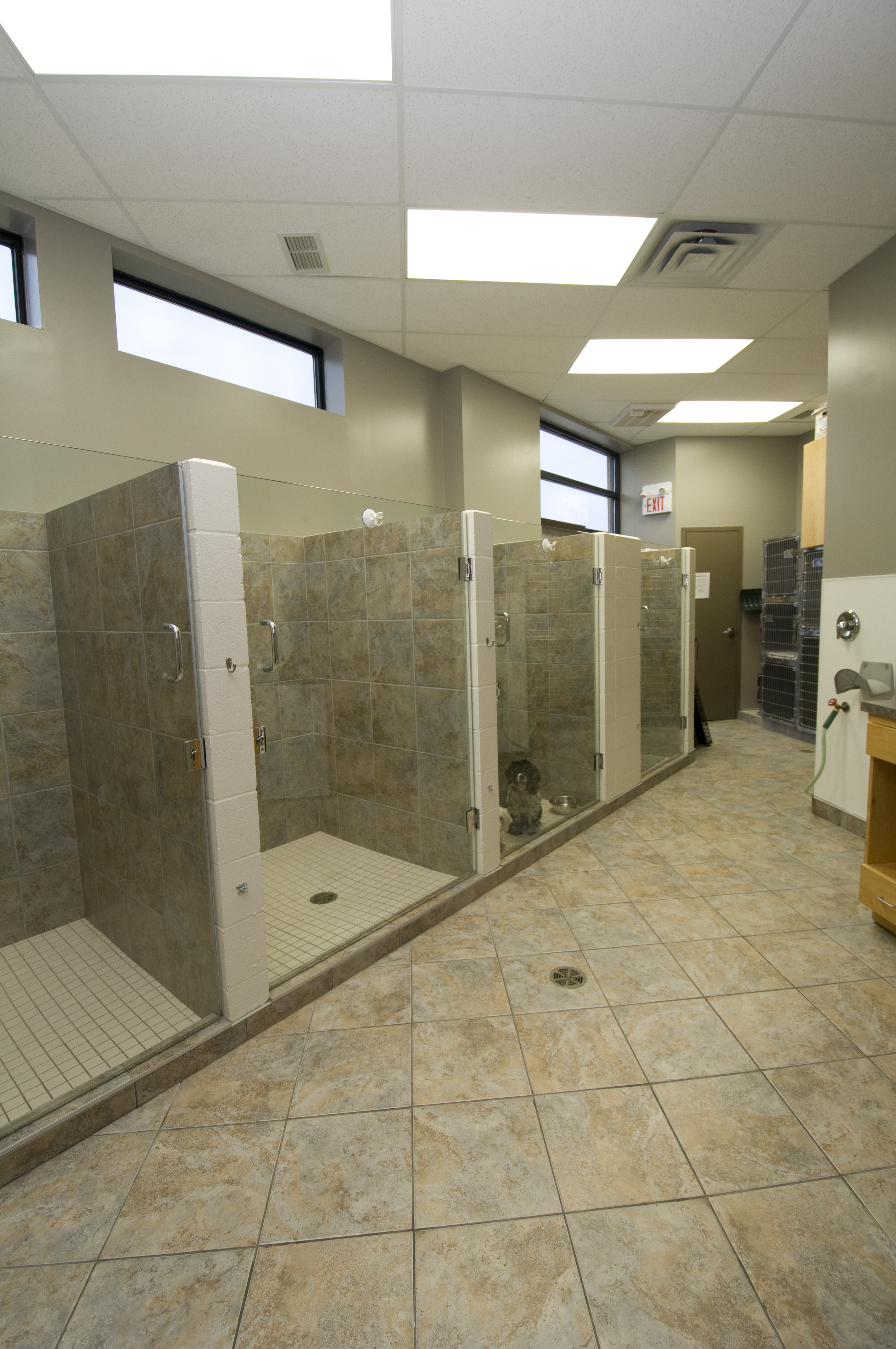 North Oakville Animal
Hospital Dog Kennel Area