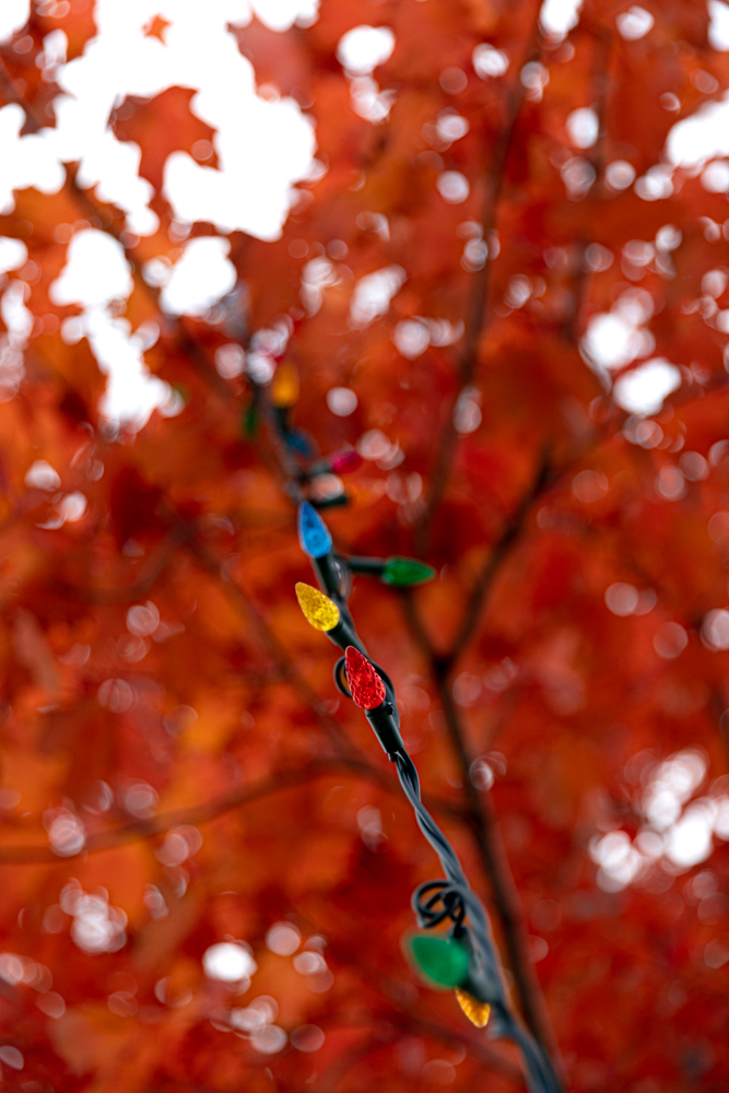 Snow-covered tree with glowing lights and snowflake ornaments, holiday village in the background at dusk.
