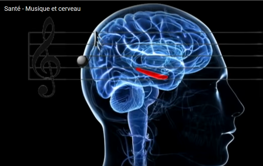 https://0901.nccdn.net/4_2/000/000/081/747/image-musique-et-cerveau.png