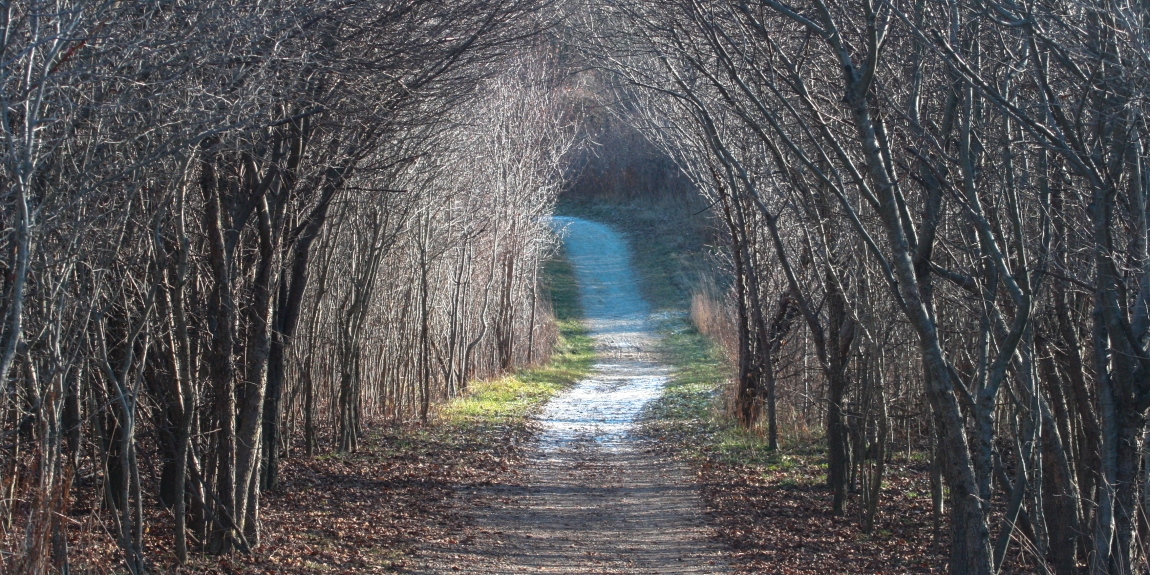 "Beyond the Trail"
Limited Edition Print