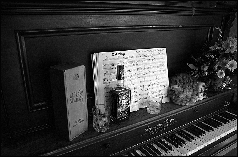 Situational Photography (24x36)
Chico, California
<< Cat Nap  >>