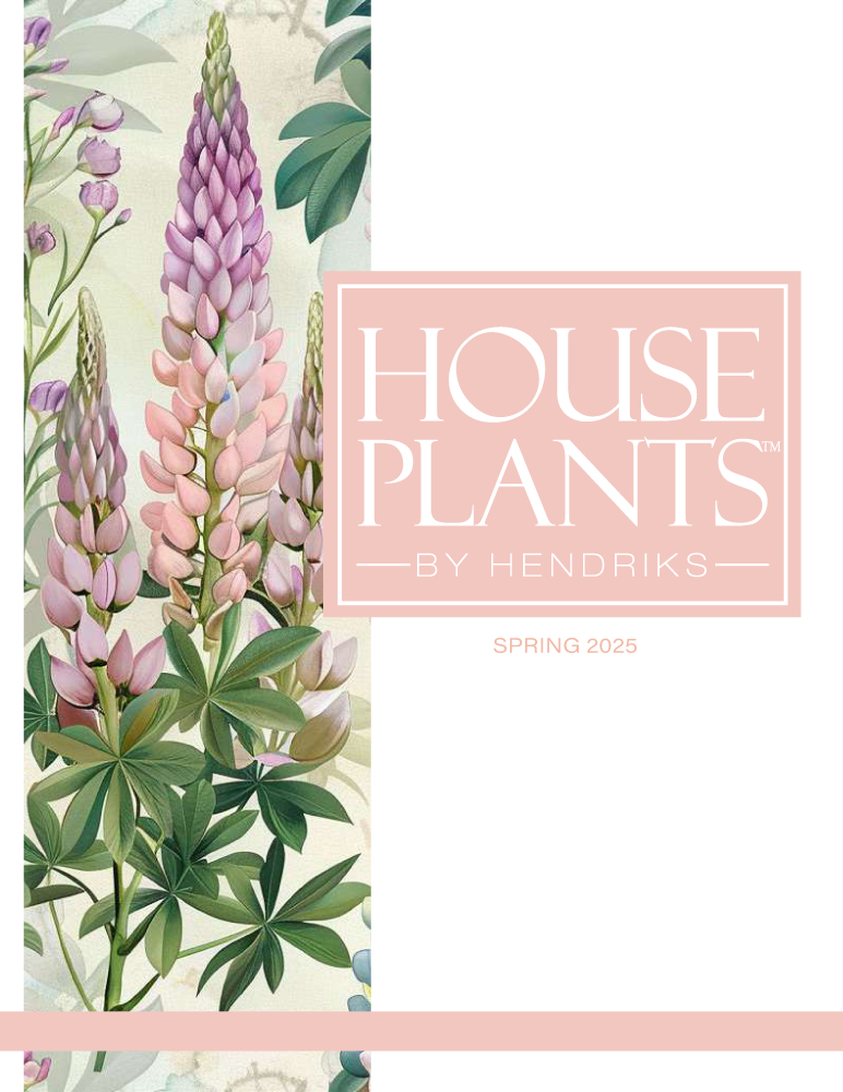 House Plants by Hendriks Spring 2025 Catalog Cover