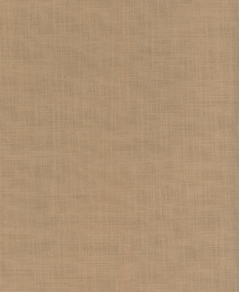 LADY 1055