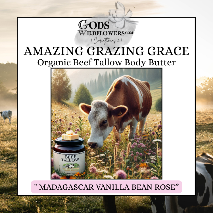 https://0901.nccdn.net/4_2/000/000/084/929/beef-tallow-body-butter-vanilla-bean-rose-.png